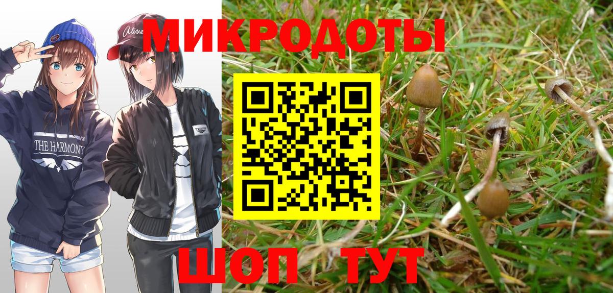 Псилоцибиновые грибы мицелий  Галлюциногенные грибы Psilocybe  Вход с VPN  Славгород 