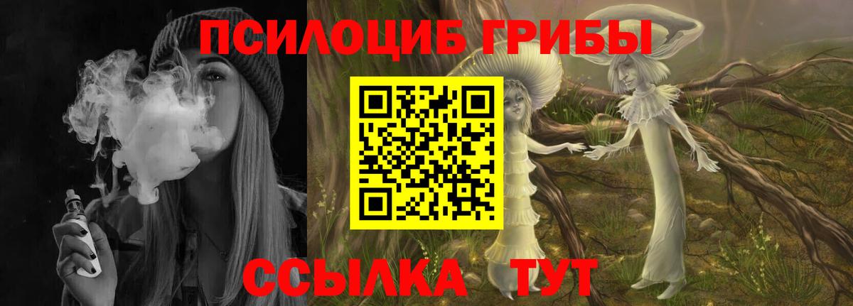 APVP Славгород