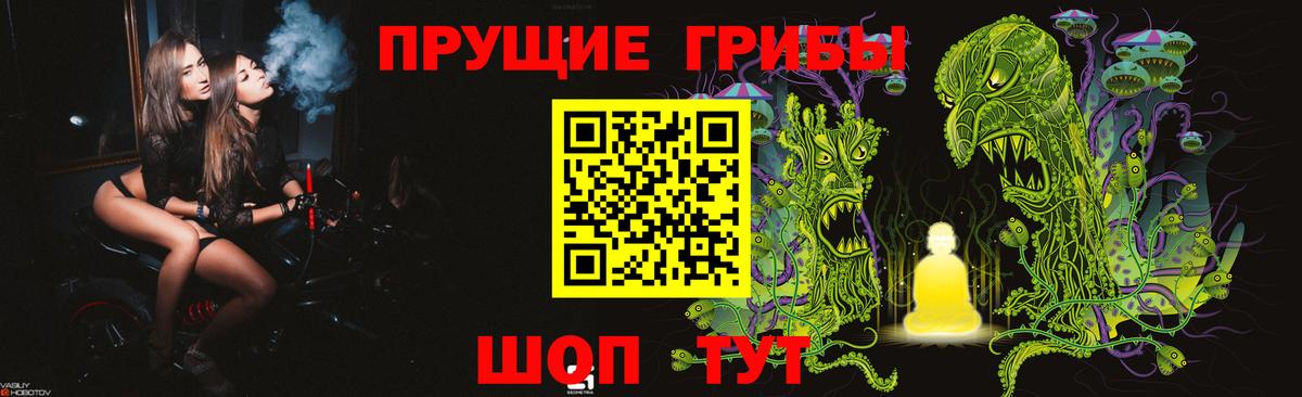 Псилоцибиновые грибы GOLDEN TEACHER Славгород